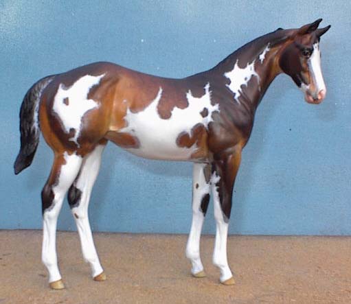 Weanling Painted by Chris Jolly