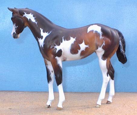 Weanling Painted by Chris Jolly