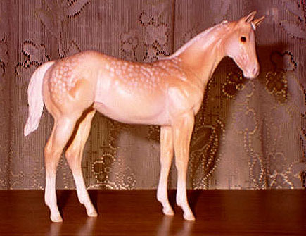 Weanling Painted by Gina Anderson