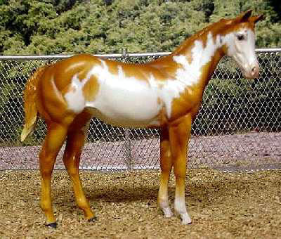 Weanling Painted by Suzanne McAllister