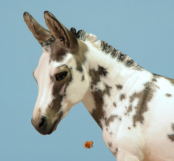 York Marcimello painted by C. Williams