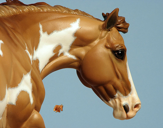 Breyer Stock Horse painted by C. Williams