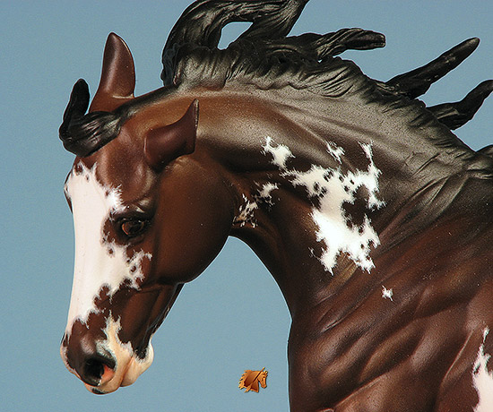 Breyer BobbyJo painted by C. Williams