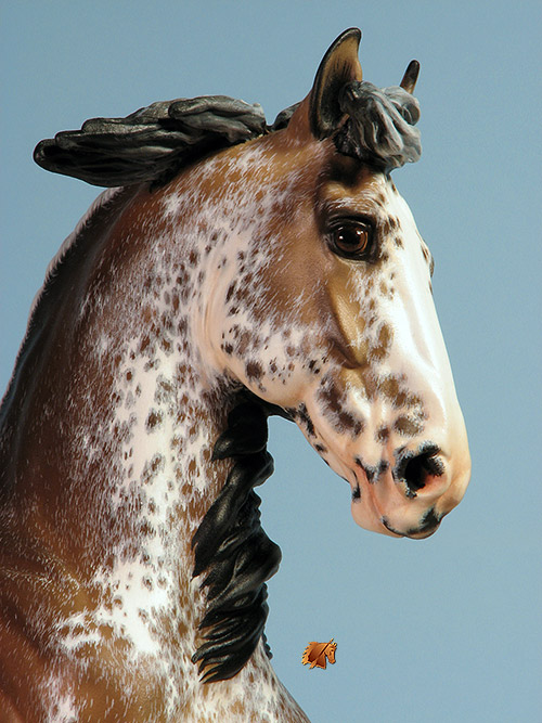 Breyer Alborozo painted by C. Williams