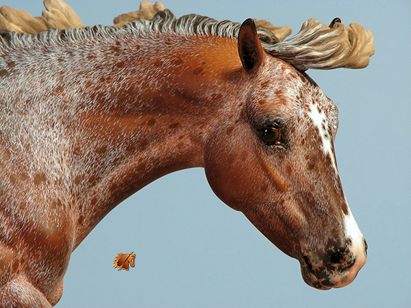 Breyer BobbyJo painted by C. Williams