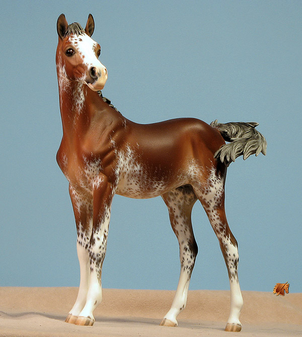 Eberl Scampolo painted by C. Williams