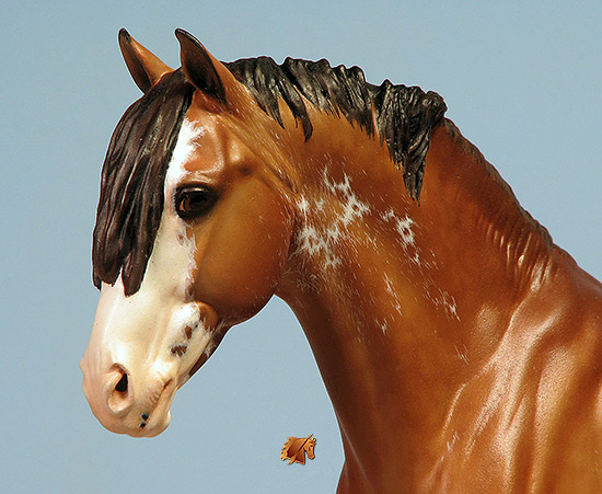 Eberl German Riding Pony painted by C. Williams