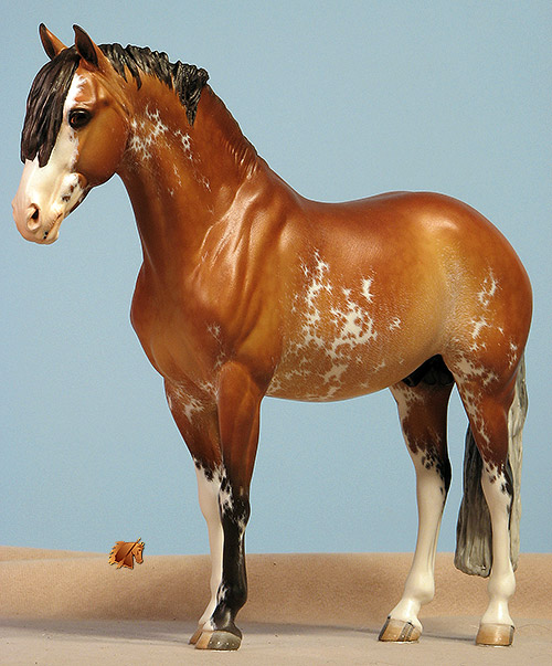 Eberl German Riding Pony painted by C. Williams