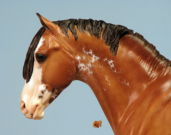 Eberl German Riding Pony painted by C. Williams